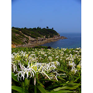 �ư���͡��ϥޥ楦��