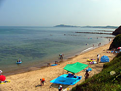 �ư���͡��ϥޥ楦��