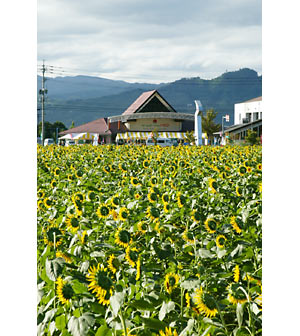 ����Į����Ҥޤ��ࣳ