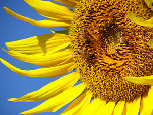 ����Į����Ҥޤ���10