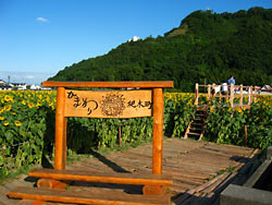 ����Į����Ҥޤ��ࣷ