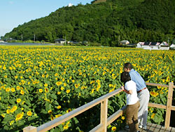 ����Į����Ҥޤ��ࣸ