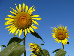 ����Į����Ҥޤ���12