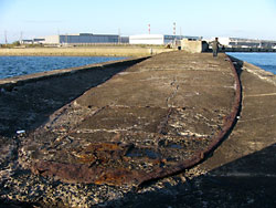 ���������飳