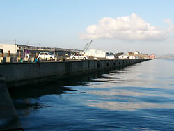 ���������飶