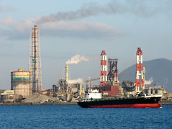 ���������飸