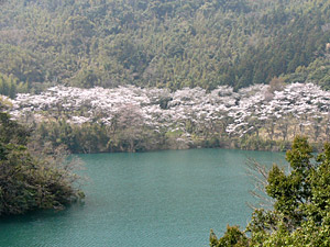 �����Ӹ���κ���