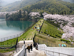 �����Ӹ���κ���