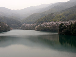 �����Ӹ���κ���