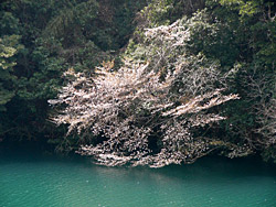 �����Ӹ���κ���