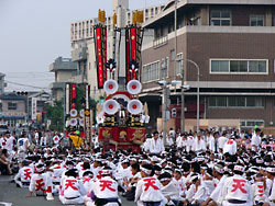 ��Ȫ�����绳�ޣ�