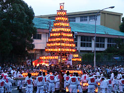 ��Ȫ�����绳�ޣ�