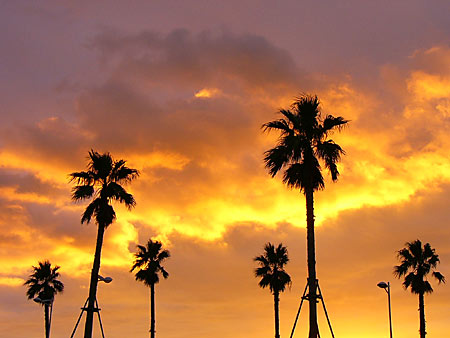 ���ĳ��ߣ�