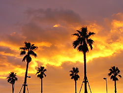 ���ĳ���10