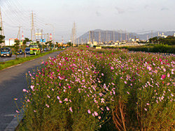 �㾾�����⥹��ƻ��