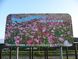 �㾾�����⥹��ƻ��