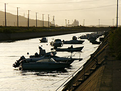 �㾾�����⥹��ƻ��