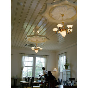 ����ƻʸ���ۣ�������