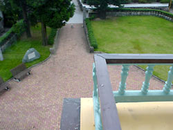 ����ƻʸ���ۣ�������