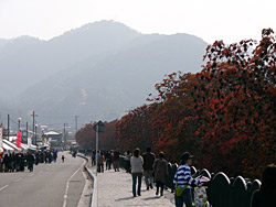 ����������ȧ���ڣ�