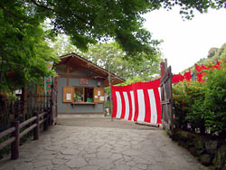 ���廳��ð�ࣶ