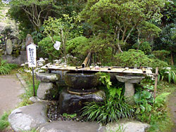 �����������ͯ��