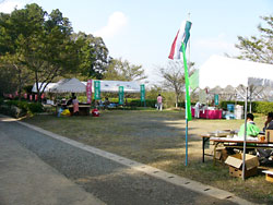 ����ֺ߲פ�