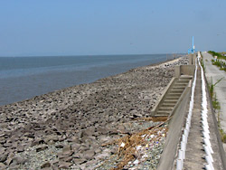 ����Ҥޤ��פ�13