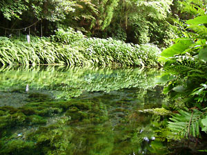 ����帻��