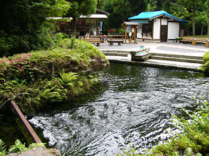 ����帻��