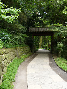 ����帻��