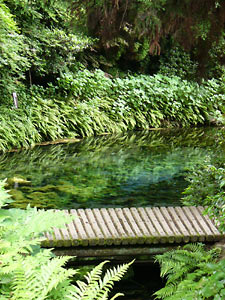 ����帻��