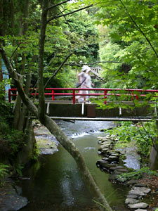 ����帻��