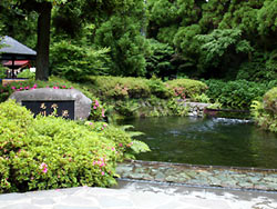 ����帻��