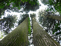 ʾΩ���ܣ���