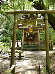 ʾΩ���ܣ���