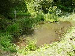 ʾΩ���ܣ���