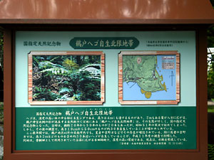 ���Ϳ��ܣ�