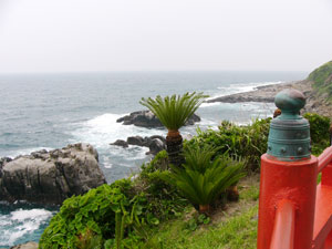 ���Ϳ��ܣ�