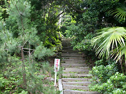 ���Ϳ��ܣ�