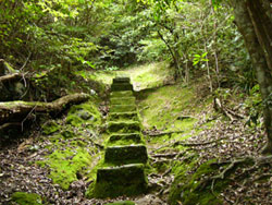 ���Ϳ��ܣ�