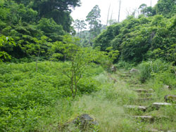 ���Ϳ��ܣ�