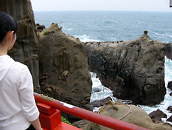 ���Ϳ��ܣ���