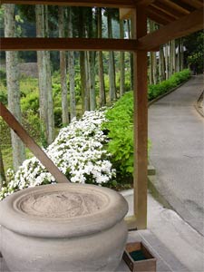 ���Ϥ���ʩ22